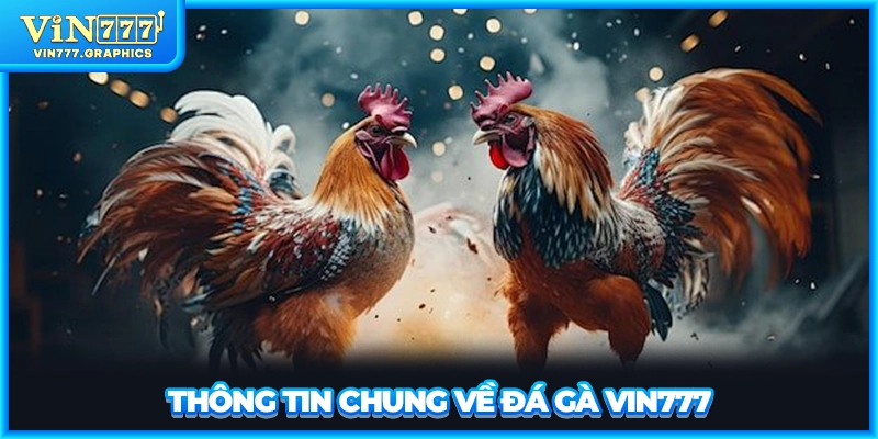 Thông tin chung về đá gà VIN777